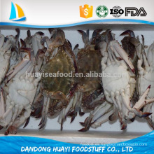 Congelado azul de natación de cangrejo de exportación